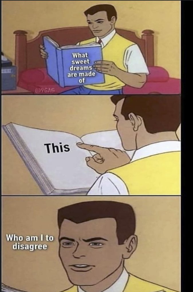 RespectfulMemes's tweet photo. https://t.co/rE9iBWcO8N