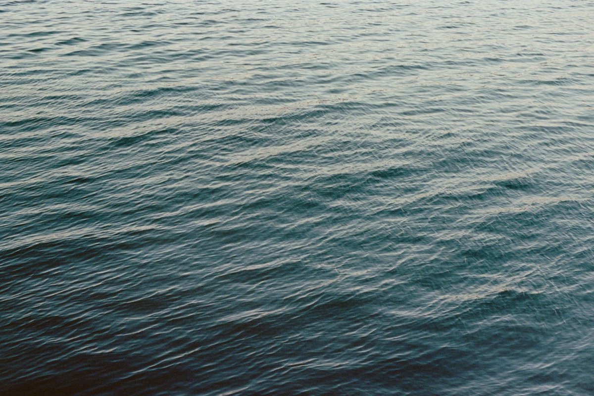 Giulia Gartner tweet media