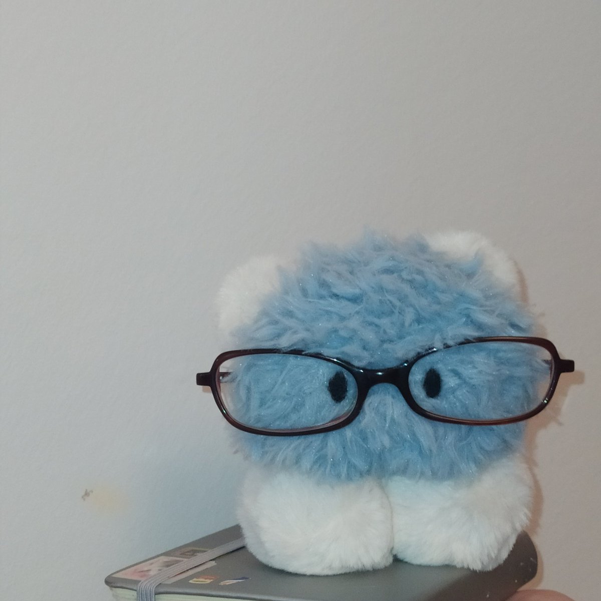 ruruki6's tweet photo. #glassesgirl https://t.co/ePiQKyCZEn
