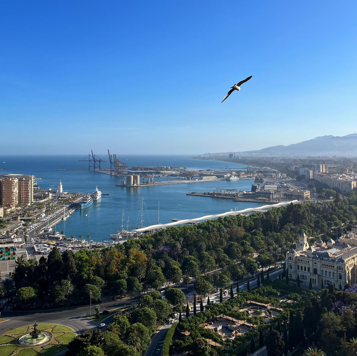 Malagaconacento's tweet photo. #Málaga bonita 😍
#malagaconacento #vivirenmlg #beautiful https://t.co/cqdyV0v2My