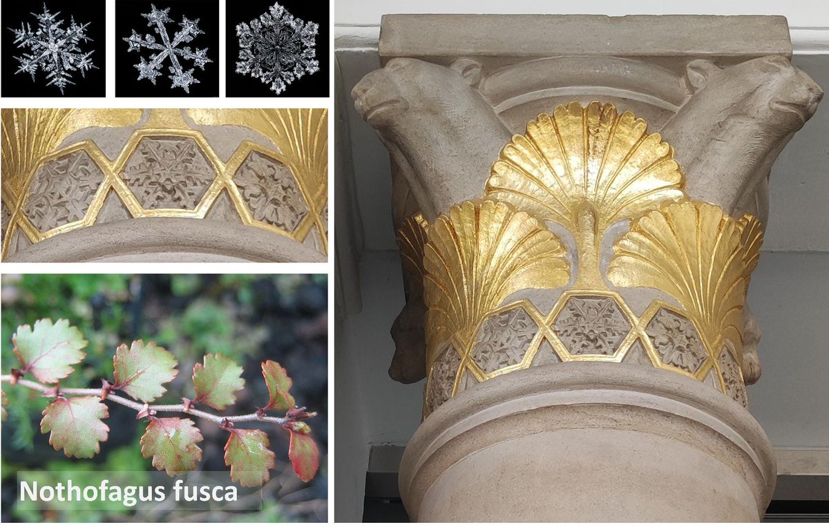 I do recognise that I love these columns but I should probably stop here :) You can find them at The Polar Museum in Cambridge.