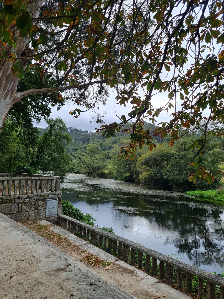 A Carballeira, os 'Choróns' e o Xardín Botánico en  #CaldasdeReis, certificados como destino de turismo científico botánico por @ScienceTourism 🏆

Os tres están integrados nunha contorna de 3,5 hectáreas situada nas beiras do río Umia 

#OrixeRíasBaixas #PontevedraProvincia