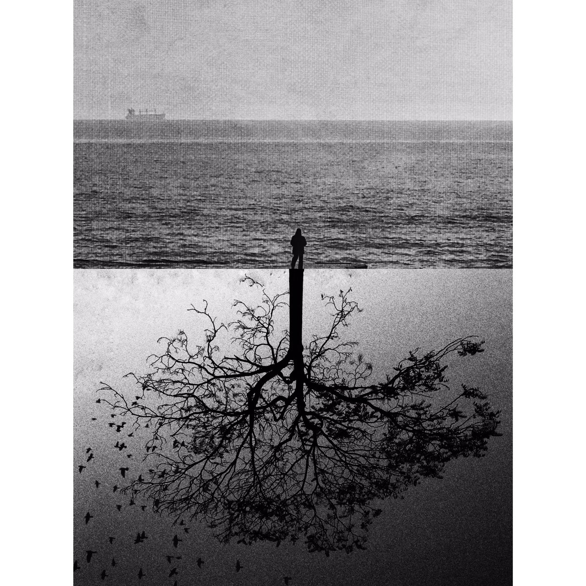 Van0ne's tweet photo. #streetphotography #fujifilm #nftphography #NFTCommunity #bw https://t.co/8VoqzFlU8t
