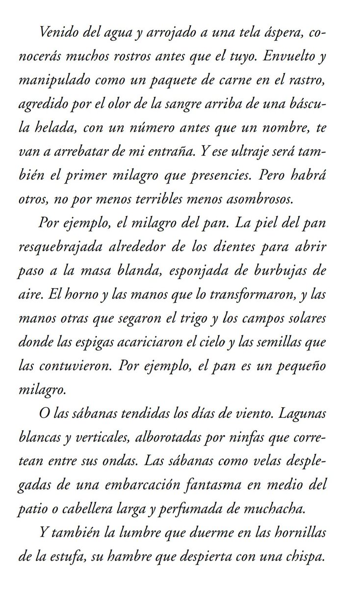 Tania_Tagle's tweet photo. Esta carta está publicada en Germinal. La comparto aquí hoy porque sigue resumiendo lo que significa para mí maternar. https://t.co/vy7IDB4XCb