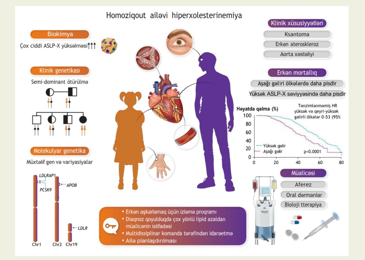 academic.oup.com/eurheartj/adva…

#AzərbaycanKardiologiyaCəmiyyəti 
#LipidİşçiQrupu
#DrSaraBayramzadə
#DrArifCavadov