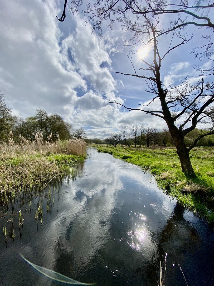 Pensthorpe tweet media