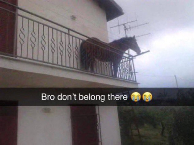 ´- (@blahijbol) on Twitter photo 