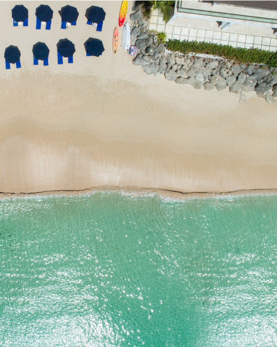 The Sandpiper tweet media