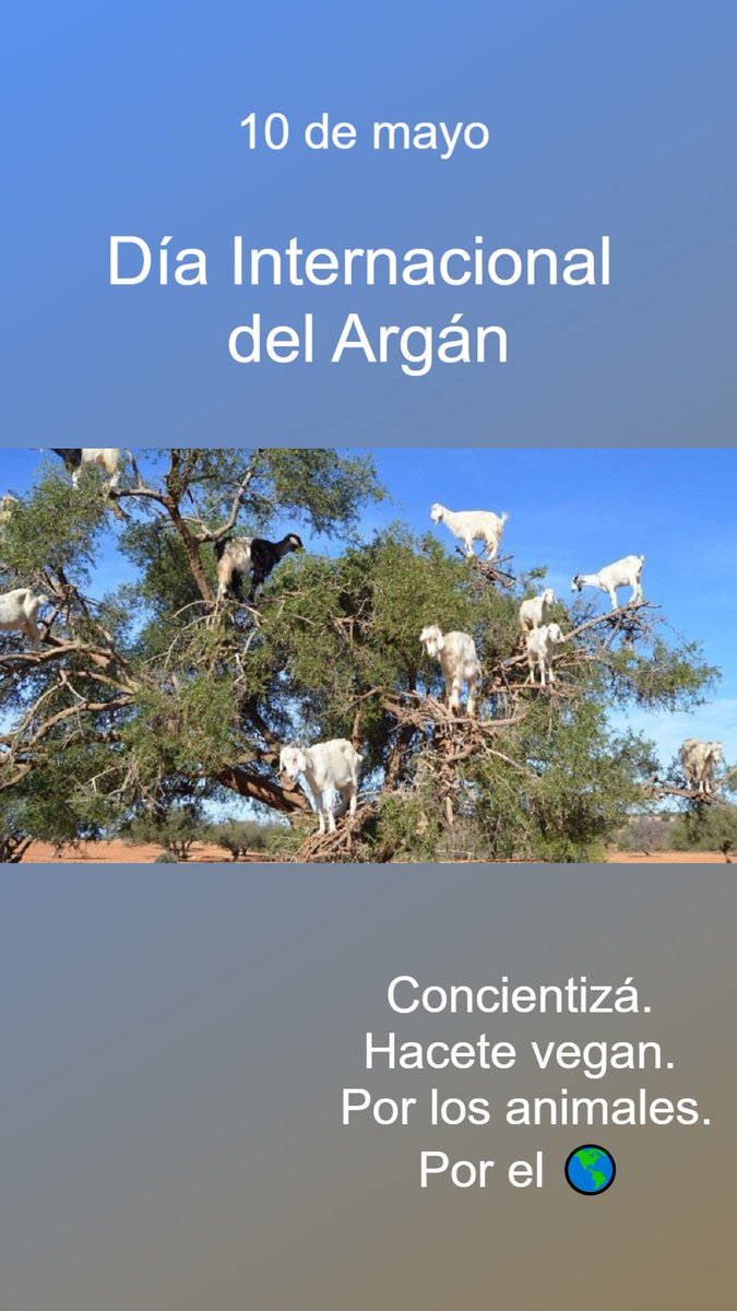 📆10 de mayo
.
Día Internacional del Argán
.
Concientizá.
Hacete vegana/e/o por los animales.
Hacete vegana/e/o para salvar al 🌎 
.
Lo que hacemos a diario impacta en él.
.
#DiaInternacionalDelArgan #argan #ArganiaDay #ArganTree #govegan
.