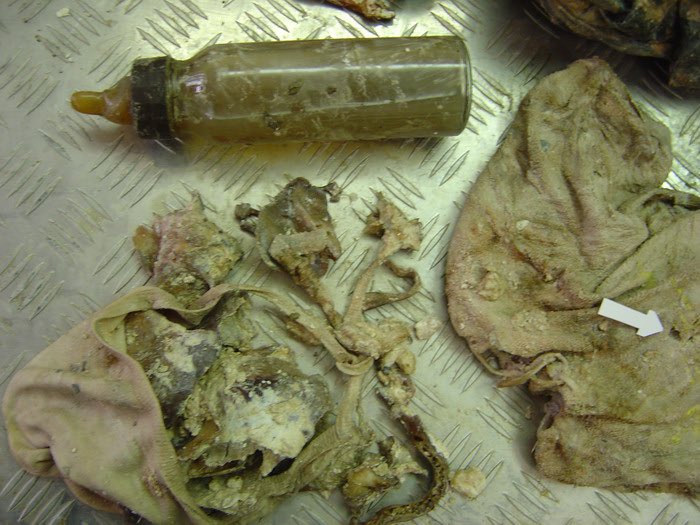 In the neighbouring municipality of Visegrad, Serbs also barricaded at least 150 Bosnian Muslim women, children, and elderly men in two abandoned houses and then burned them alive. Zehra Turjacanin recently testified 'what it feels like to burn alive.' #BosnianGenocide