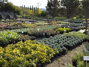 solarponics's tweet photo. Shout Out Wednesday: Organizations. companies, people who #makeadifference!

Growing Grounds. 👍
Part of @Transitions-Mental Health Association
May is Mental Health Awareness month. https://t.co/kHBSbE7ypM