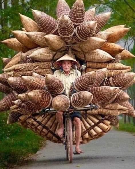 overseaseyes1's tweet photo. TIV (This Is VietNam) 🇻🇳 

Bamboo fish traps in Vietnam.
🎩 Amazing World https://t.co/te1CKvH3uM