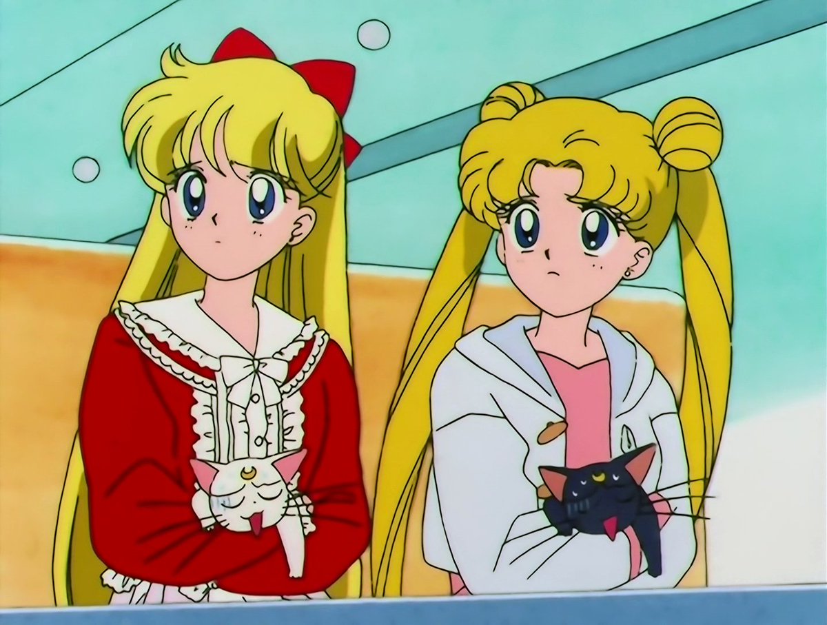On your left we have the Inner Senshi who aren't blondes or with cats. On your right we have the blondes with their cats.