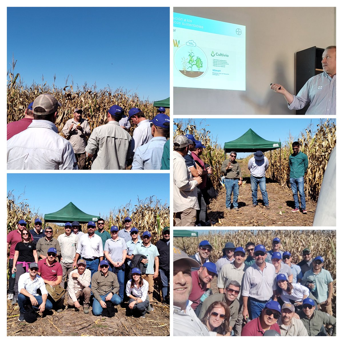 BorghiLeti's tweet image. Llegó la Capacitación Técnica Bayer (CTB) al NEA Argentino, de la mano de dos grandes  @DarioOleszczuk  y Guille Zamora! Gracias equipo comercial Innoba y Selecta por el intercambio generado! 💯💪 @lorenangarcia  @joseleiva81 gracias x el soporte!!!! #bayercropscience