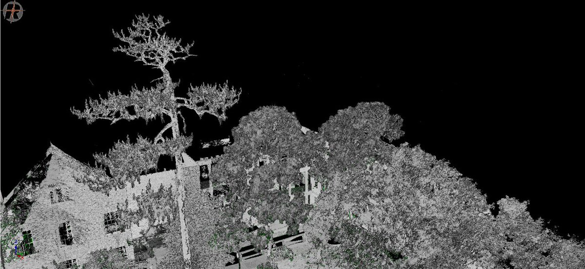 Dr. Carlos Alberto Silva 🌲🌍🛰 tweet media