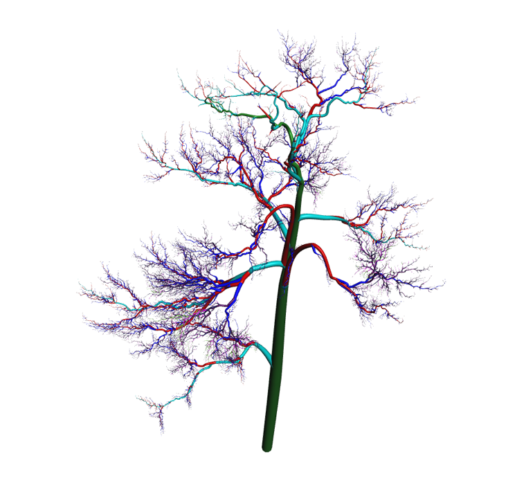 Dr. Carlos Alberto Silva 🌲🌍🛰 tweet media