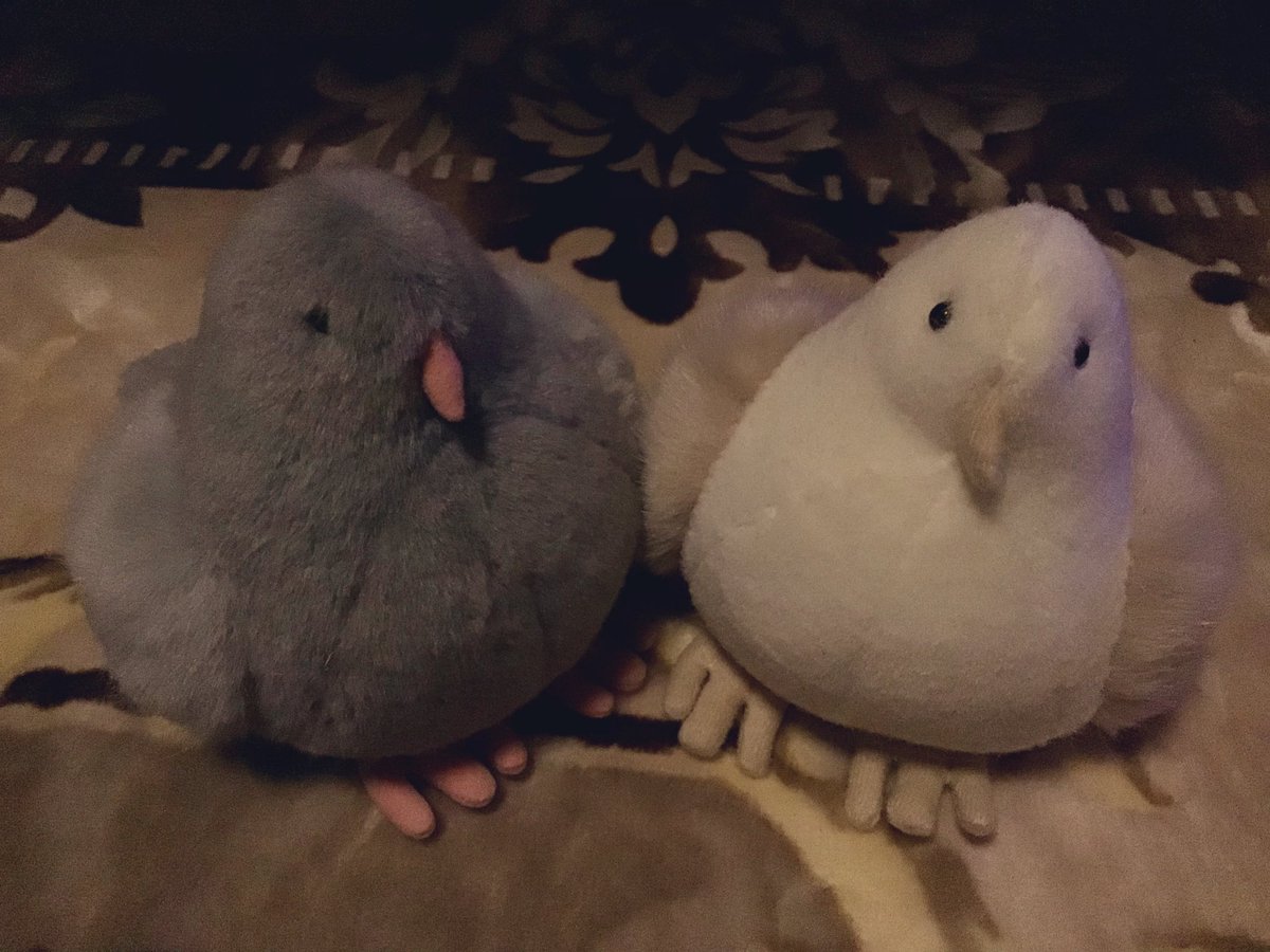 小峰玩具ぬいぐるみ友の会（非公式） (@kominenuinuifan) / Posts / X