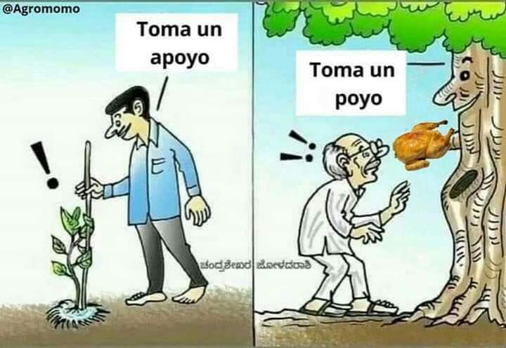Perry7u7's tweet photo. @MaauGuerrero Yo we talla m jajs https://t.co/dHRF0KtjXb