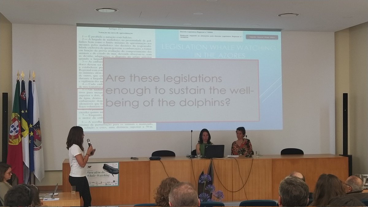 Azores delphis project tweet media