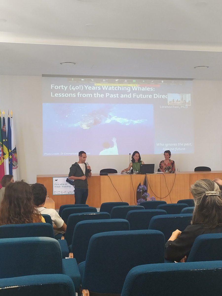 Azores delphis project tweet media