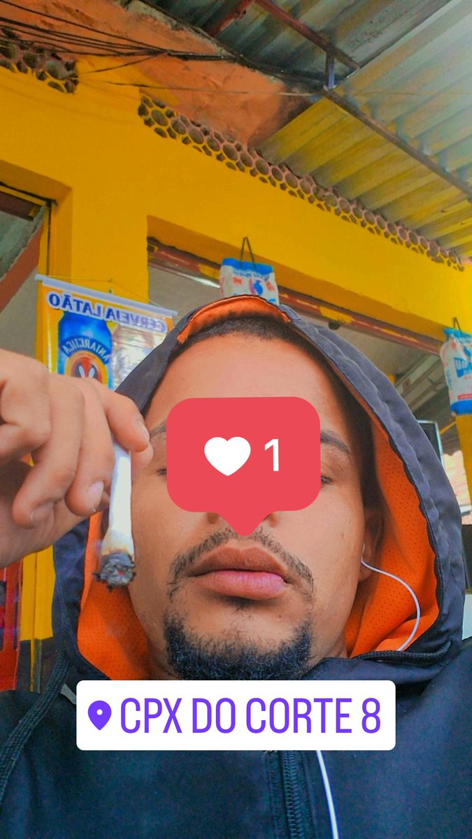 Paz revoada 🎱🕊