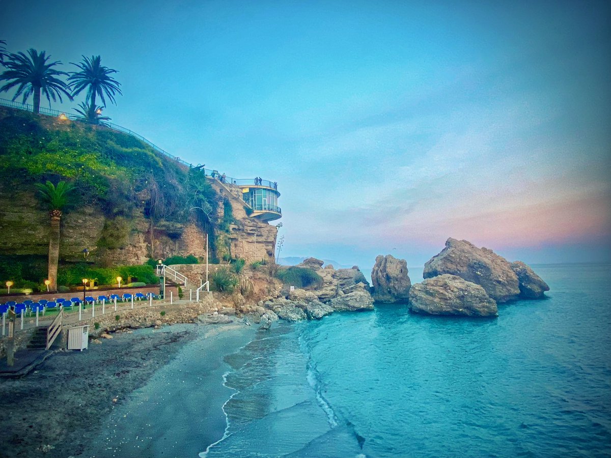 Amir Aly tweet media