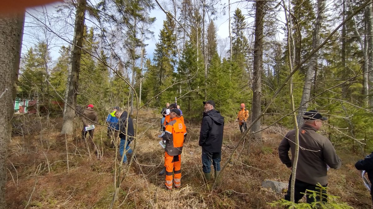 VilleYrjana's tweet photo. Liito-orava talousmetsässä koulutukset ovat käynnistyneet. Kokkolan hankekohteella jokainen osallistuja pääsi tekemään havaintoja. #liito-orava-LIFE https://t.co/5mjqeCYKol