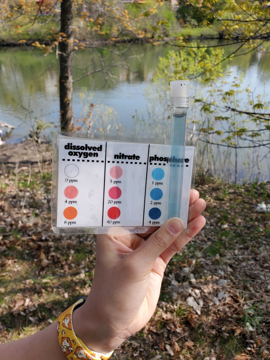 mr_bernstein's tweet photo. Gr6s @FredVarley doing a pond water study with the @TRCA_Edu.  Students found dragonfly &amp; damselfly nymphs and tested water for pH, as well as ppm of nitrates &amp; phosphates.  Lots of great results! https://t.co/xoCuRcQZ3k