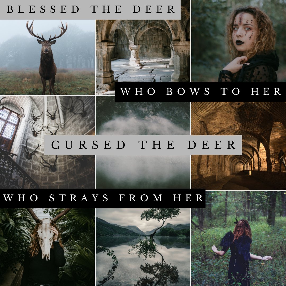 CURSED THE DEER is officially out on submission!

Editors, if you're looking for a fast-paced, sapphic YA fantasy steeped in Greek myth (co-written by a Greek author) about liminal spaces, creepy forests and girls who save themselves, I hope you'll give CURSED THE DEER a chance!