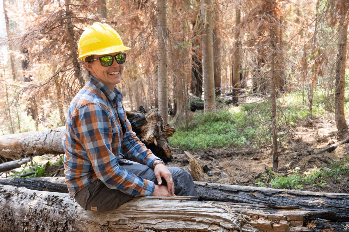 "I study wildfire because fire is an amazing and destructive force but can also be a rebirth."
This #WildfireAwarenessMonth read a Q&amp;A from Camille Stevens-Rumann, faculty member and assistant director of <a href="/cfri_csu/">cfri_csu</a> 
<a href="/WarnerCollege/">CSU Warner College</a> 
col.st/EiidB