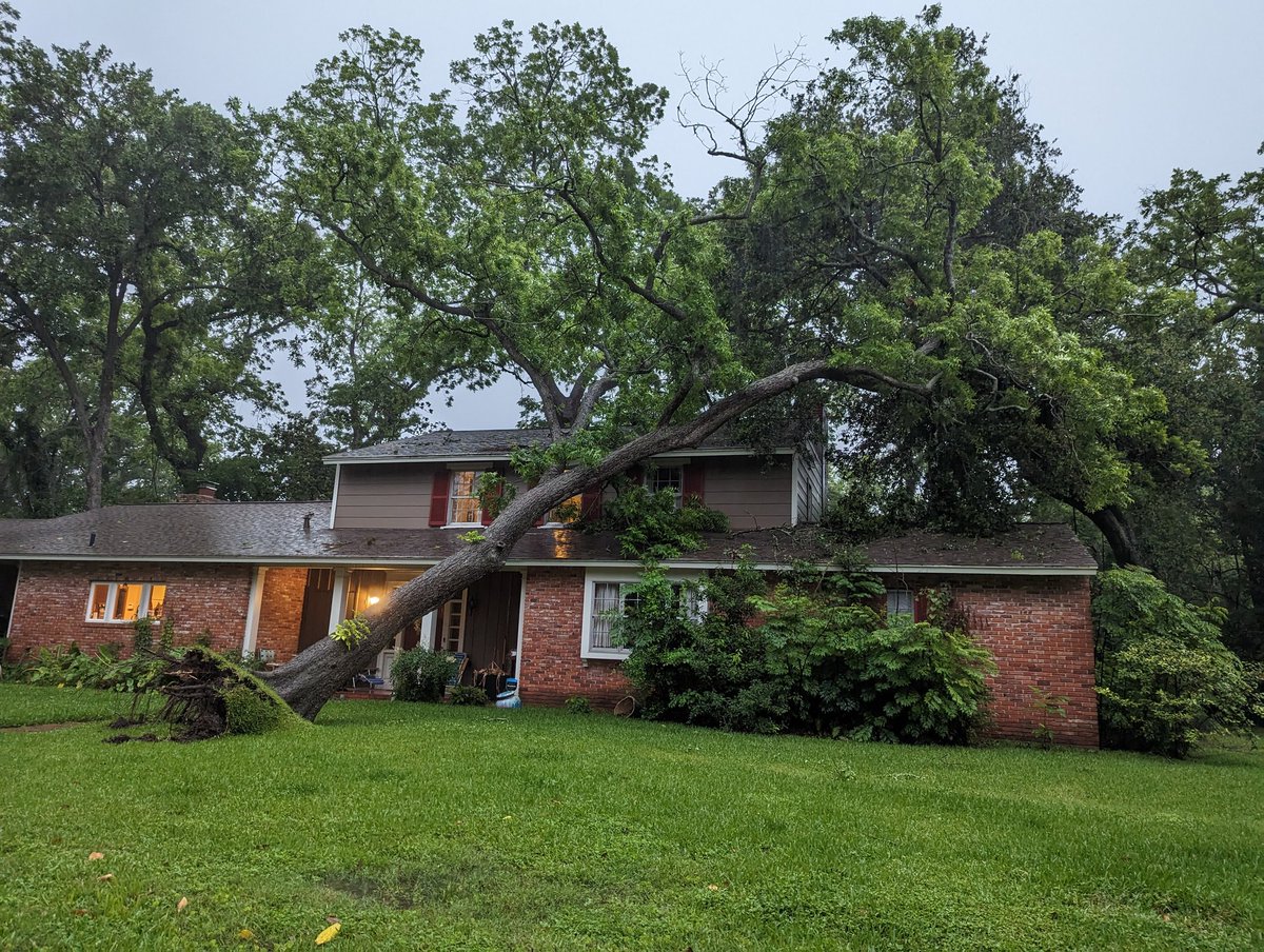 Second time in less than two years that we've had downed trees. This time one landed on the house.

We've clearly offended the Ents.