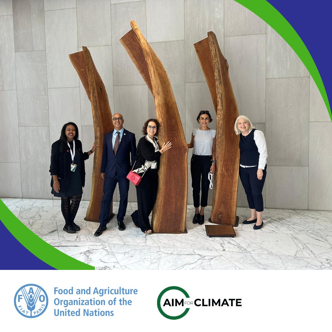 Our @FAO team is happy to have contributed to #Aim4Climate. Thank you @FAOScienceChief for your support.
 
☑️The message is clear. We need science, insight sharing & accelerated deployment of #AgInnovation.

📸@IsmahaneElouafi @ZitouniOuldDada @JocelynB_FAO @lidderpr @AhdiZuber