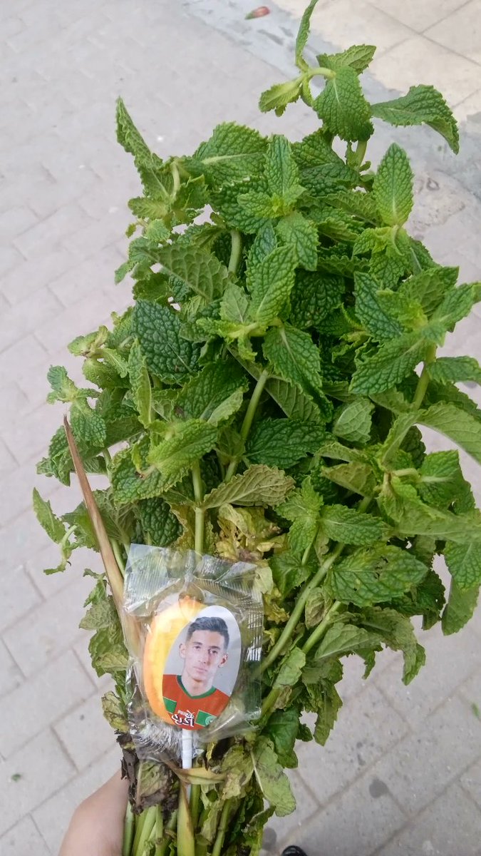 ayaa 3ndha mtihanat ☕ on Twitter "If we are going to a date, bring me