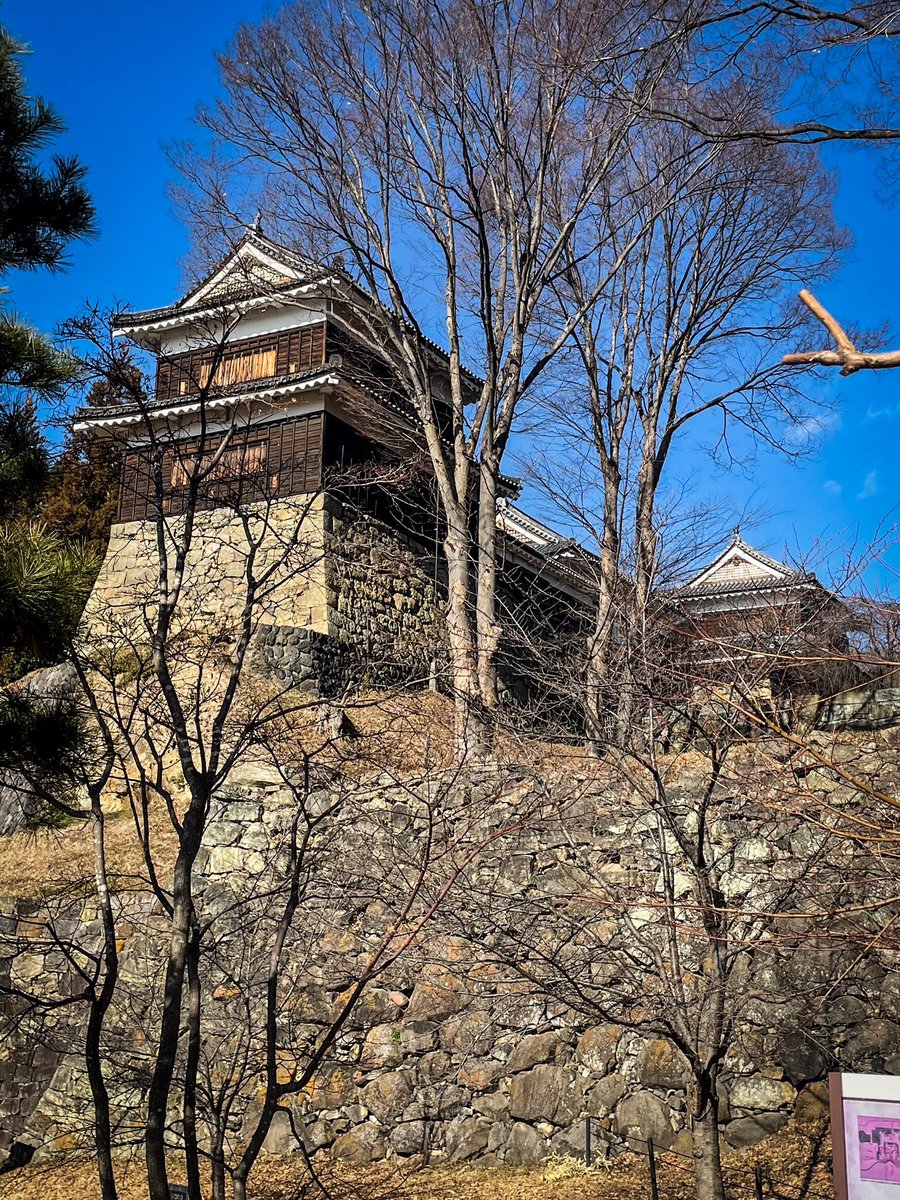 sunnonkai_tw's tweet photo. 長野県上田市 上田城
冬晴れの晴天。真っ青な空に上田城が映えます。尼ケ淵から南櫓と東虎口櫓門と北櫓が一緒に見られるのはこの時期だけ。
(2023/1/9)

#城 #城跡 #歴史 #長野県 #上田市 #上田城 #観光 #真田

#japanesecastle #history #castle #nature #nagano #ueda #uedacastle #sanada https://t.co/gr1NpsIPBG