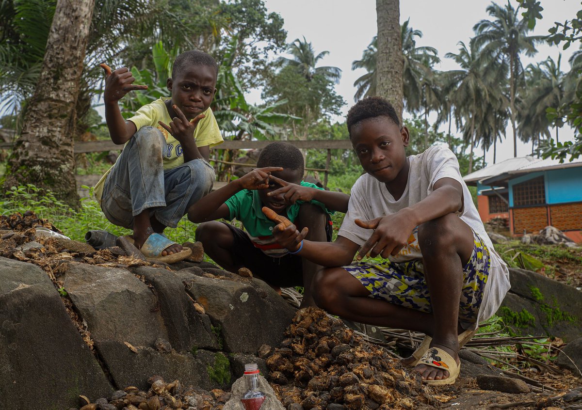 Ali_Bruce_'s tweet photo. Children spend hours harvesting almonds, hammering away at their husks to prise free the nuts, which they then sell in plastic bottles at the nearby market https://t.co/XdCNuQO81L
