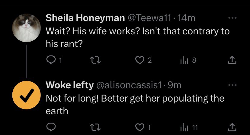 Emmanuel_Rach's tweet photo. When the left complains about sexism, believe them - they’re the greatest purveyors of it. 

Here they are insisting conservative women are controlled by their husbands &amp; that the blessing of marriage &amp; motherhood equates a woman to a “handmaid.”

Sick rhetoric from sick people. https://t.co/wwIQrciNPq