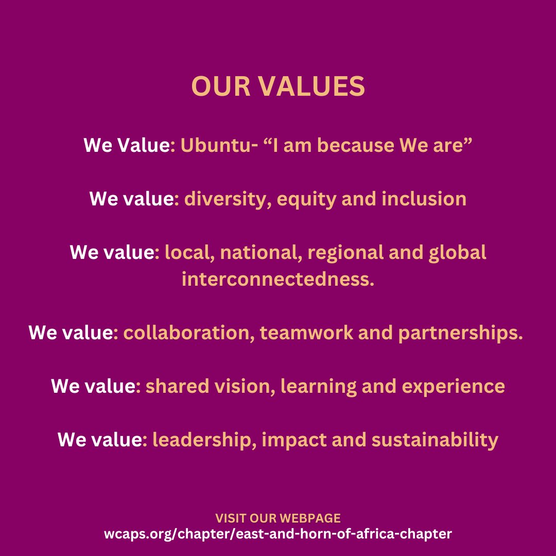 Women of Color Advancing Peace and Security tweet media