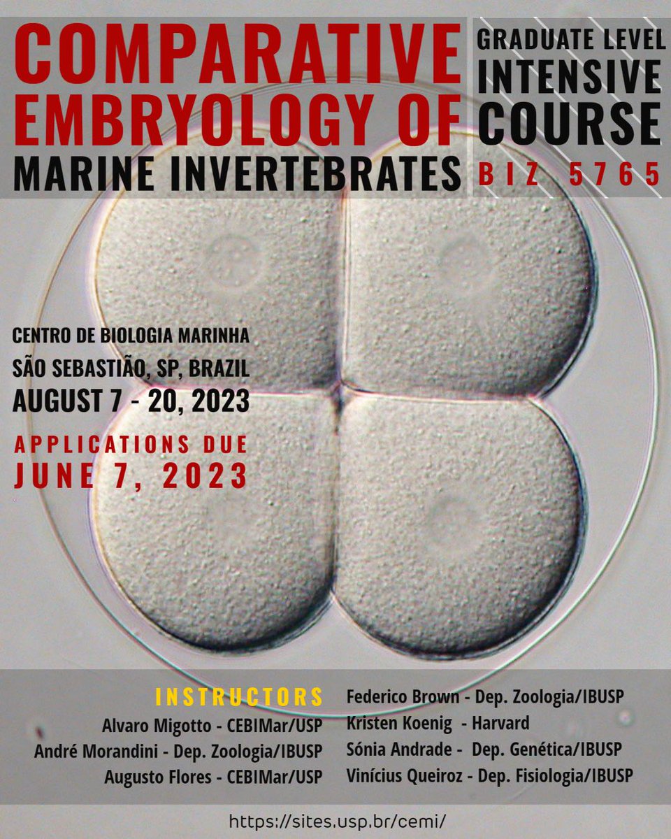 Federico Brown (@federico_brown) on Twitter photo CEMI course is back!! Please help disseminate this opportunity among interested graduate students. Only 14 students will be selected for this course so apply fast! More info: sites.usp.br/cemi/ #embryology #evodevo #invertebrates <a href="/EvoDevoPanAm/">EvoDevo PanAm</a> <a href="/LASDB_DevBiol/">LatinAmerica DevBiol</a> <a href="/SocDevBio/">Society for Developmental Biology</a> CEMI course is back!! Please help disseminate this opportunity among interested graduate students. Only 14 students will be selected for this course so apply fast! More info: sites.usp.br/cemi/ #embryology #evodevo #invertebrates <a href="/EvoDevoPanAm/">EvoDevo PanAm</a> <a href="/LASDB_DevBiol/">LatinAmerica DevBiol</a> <a href="/SocDevBio/">Society for Developmental Biology</a>