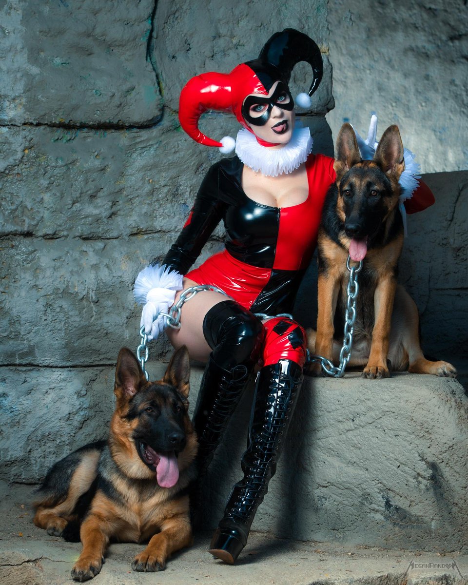 ItsMeganRandom's tweet image. Hyenas are a Clown's best friend!
#HarleyQuinn 🤡♦️🐕