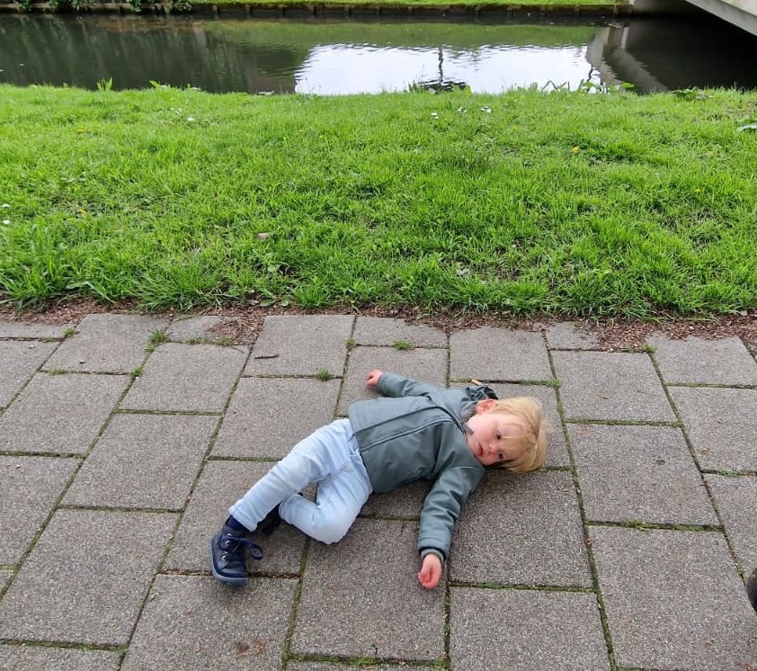 Christine Zandberg tweet media