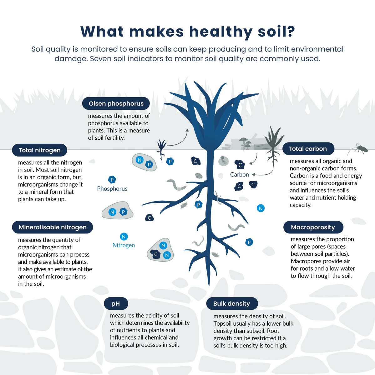 environmentgvnz's tweet image. Soil is a living ecosystem that sustains microbes, plants, animals, and humans. Soil degradation reduces its mauri (life force), productivity, and the hauora (wellbeing) of people. Adding compost to soil greatly enhances its quality.

#InternationalCompostAwarenessWeek