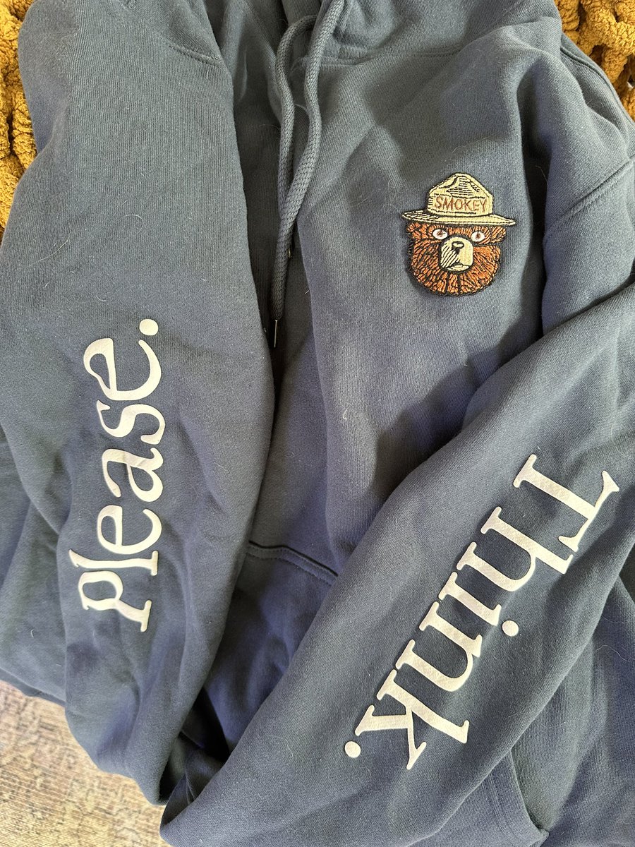bradmbaldwin's tweet photo. My new favorite hoodie 🐻 #pleasethink https://t.co/CG3TxW1PRU