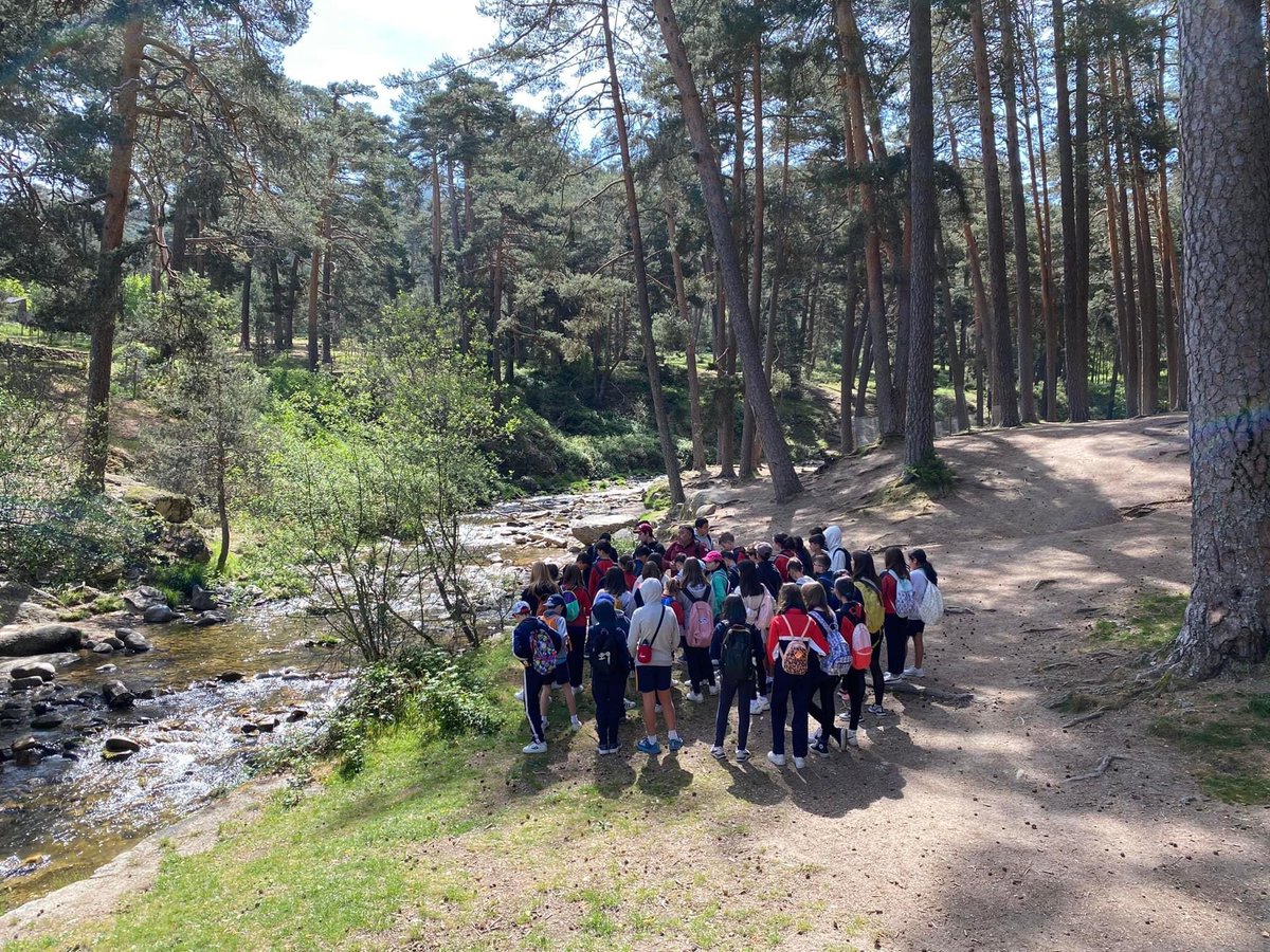 Paco Pascual tweet media