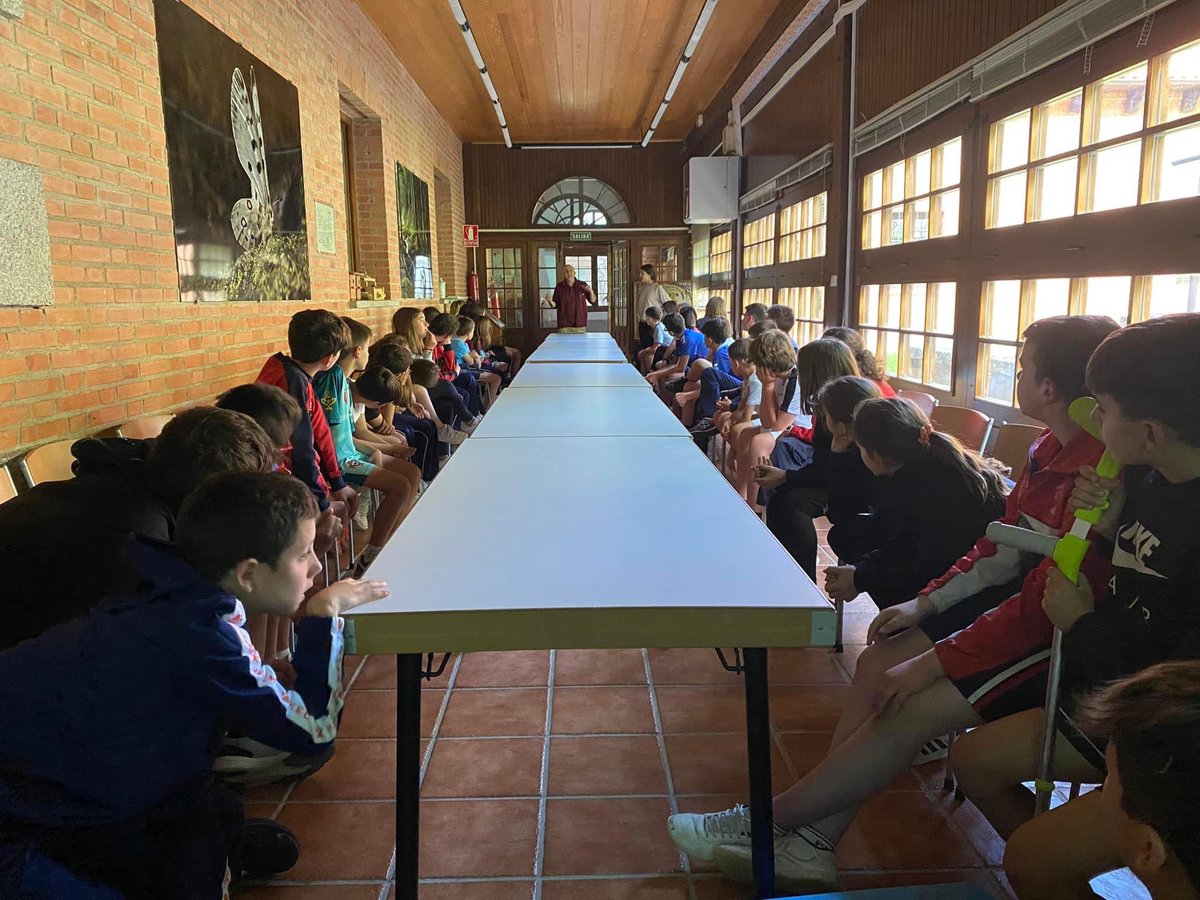 Paco Pascual tweet media