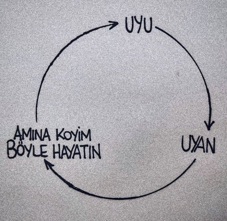 arlanmaz's tweet photo. bu aralar mood.. ne eksik ne fazla. https://t.co/zH5Mv8dX30
