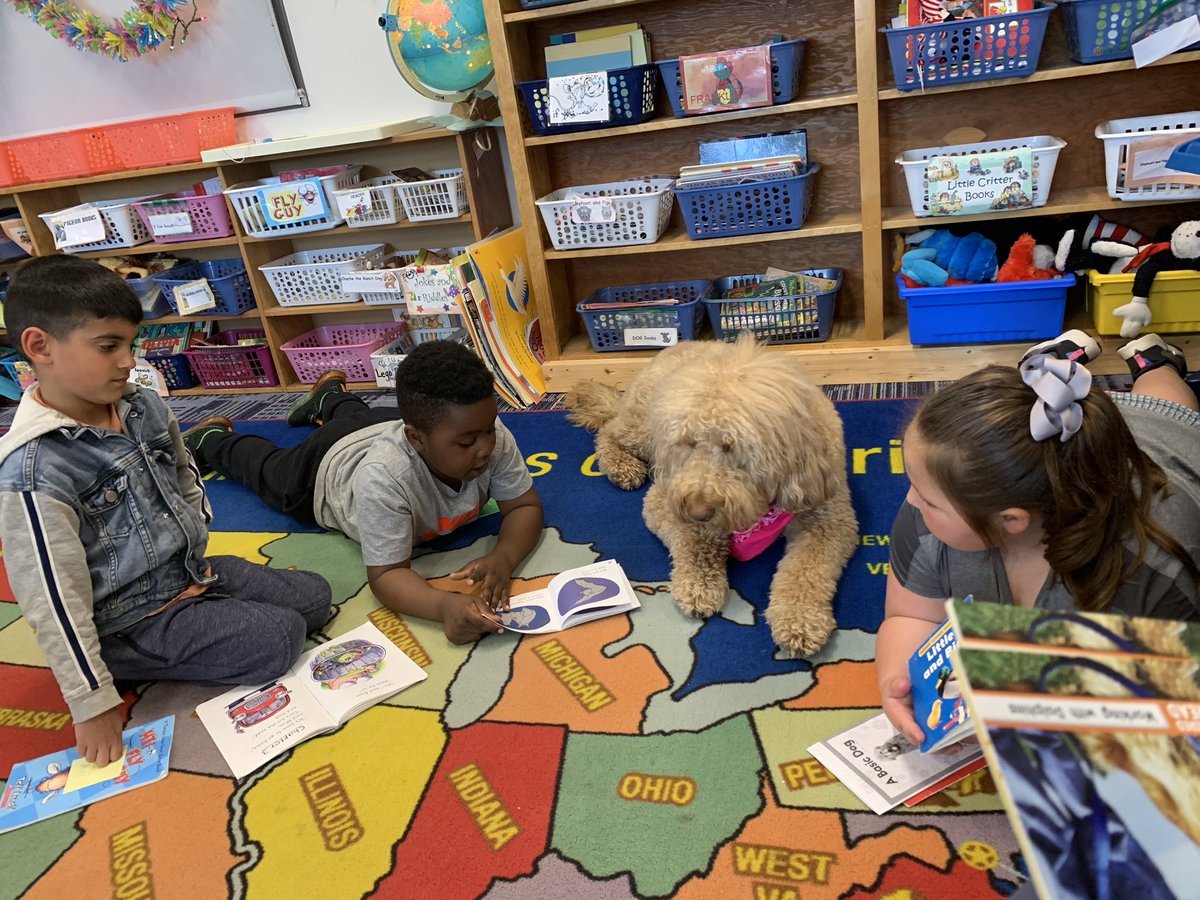 Molly Ray tweet media