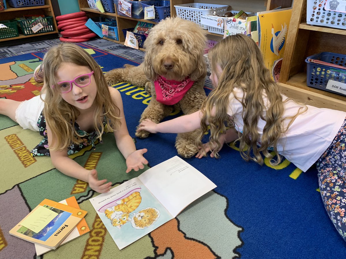 Molly Ray tweet media