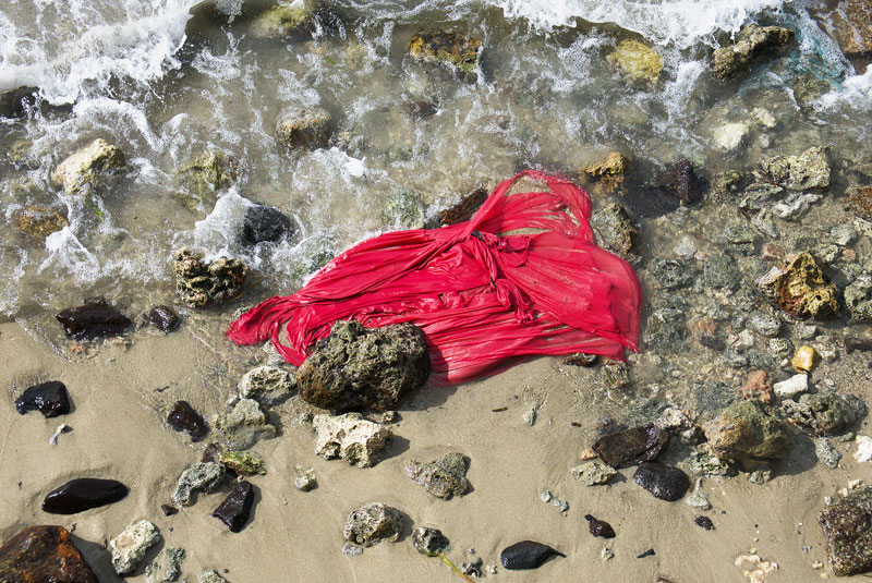 Remnant #49
#plasticpollution #environment #shoes #fashionindustry #sustainableliving #Greenissues #ClimateEmergency #marinelife #petrochemicals
