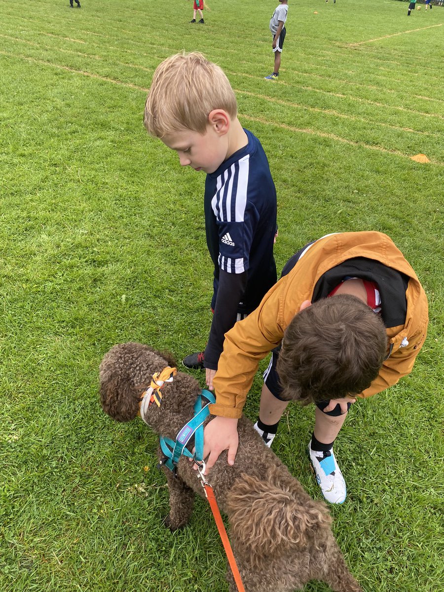 One minute there’s a football match going on, the next this is happening! Not sure if the boys wanted to give me a stroke or stop me chasing the ball but, regardless, it’s a winner, winner!  T🐾