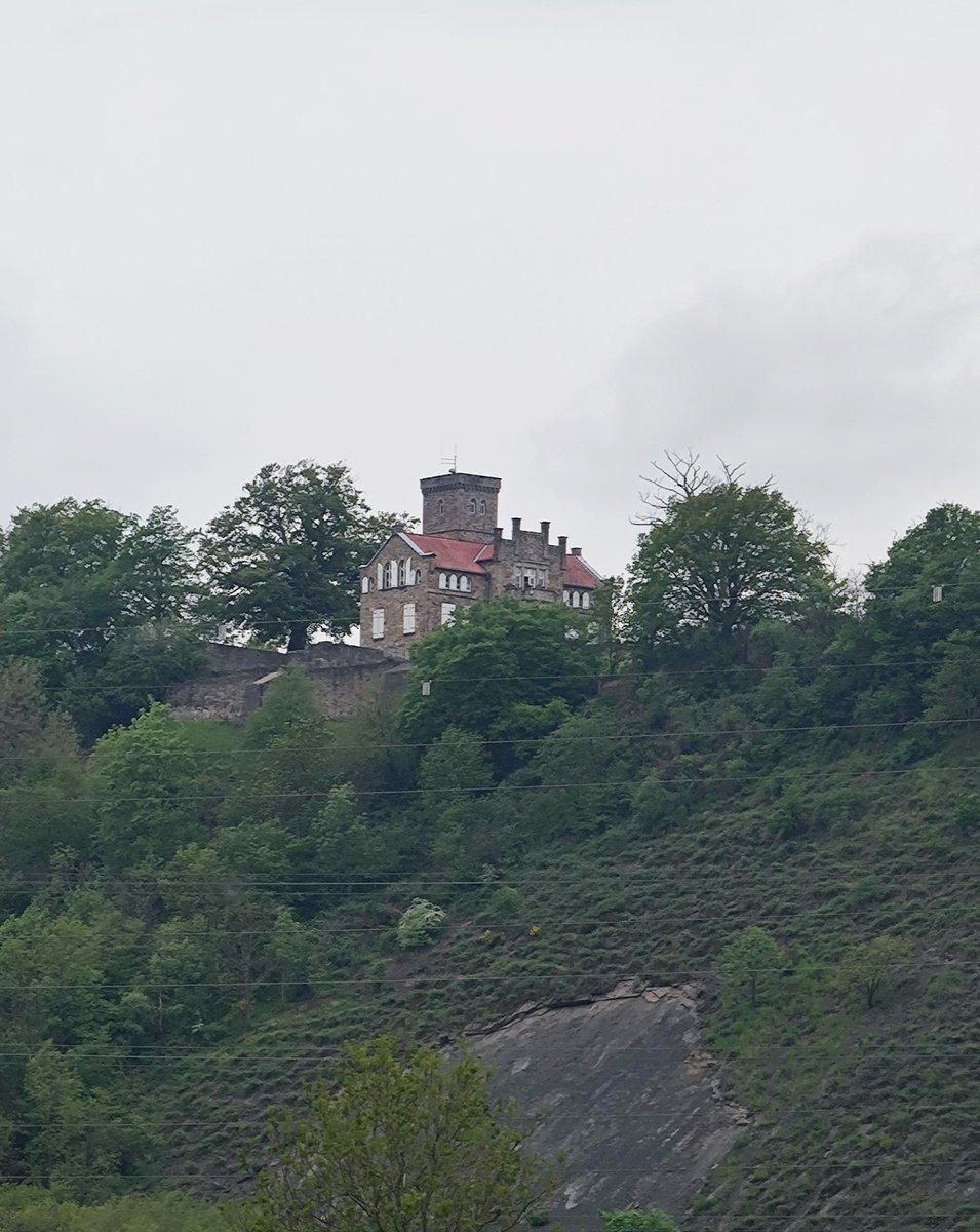 TeufelzWerk's tweet photo. Gestern waren die Radwege frei an der #Ruhr. An der Isenburgkurve machte ich Pause und genoss die Ruhe ... und die Ruhr 😃
#bike #river #castle #Isenburg https://t.co/dZHnBS9e4V